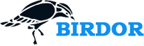 Xeltravinqprzk Logo